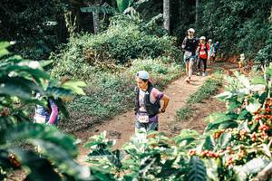 BIB: 
                            <button type="button" onclick="openModal(25852081)" class="btn btn-primary btn-sm float-right btn-popup" data-toggle="modal" data-target=".modal-high-quality">
                        <i class="fas fa-shopping-cart"></i> Add to Cart
                    </button>
                                            <button type="button" onclick="isThisMe(25852081, true)" class="btn btn-success btn-sm float-right btn-popup btn-isme hidden" data-toggle="tooltip" data-placement="bottom" title="นี่คือรูปของคุณใช่ไหม คลิกที่นี่เพื่อเอาเข้าอัลบั้ม">
                        <i class="fas fa-plus"></i> Add to album
                    </button>
                    <button type="button" onclick="isThisMe(25852081, false)" class="btn btn-warning btn-sm float-right btn-popup btn-isnotme hidden">
                        <i class="fas fa-ban"></i> Remove from album
                    </button>